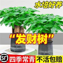 ˮlؔС2025ؔk҃GֲȩB