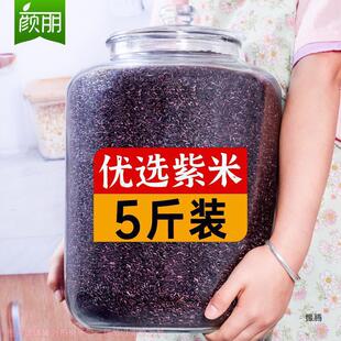 5������������� ī����Ŵ��ѪŴ�����׺�������خa����s�Z��