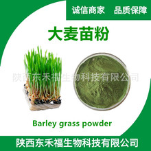 ������� ������֭��������ȡ��Barley Grass Powderˮ�ܴ������