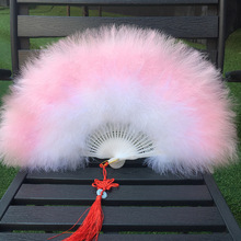 ȫ�q�Ӻ���ë�������赸����������ݹ��L�h�����ՏV����S��ֱ�N