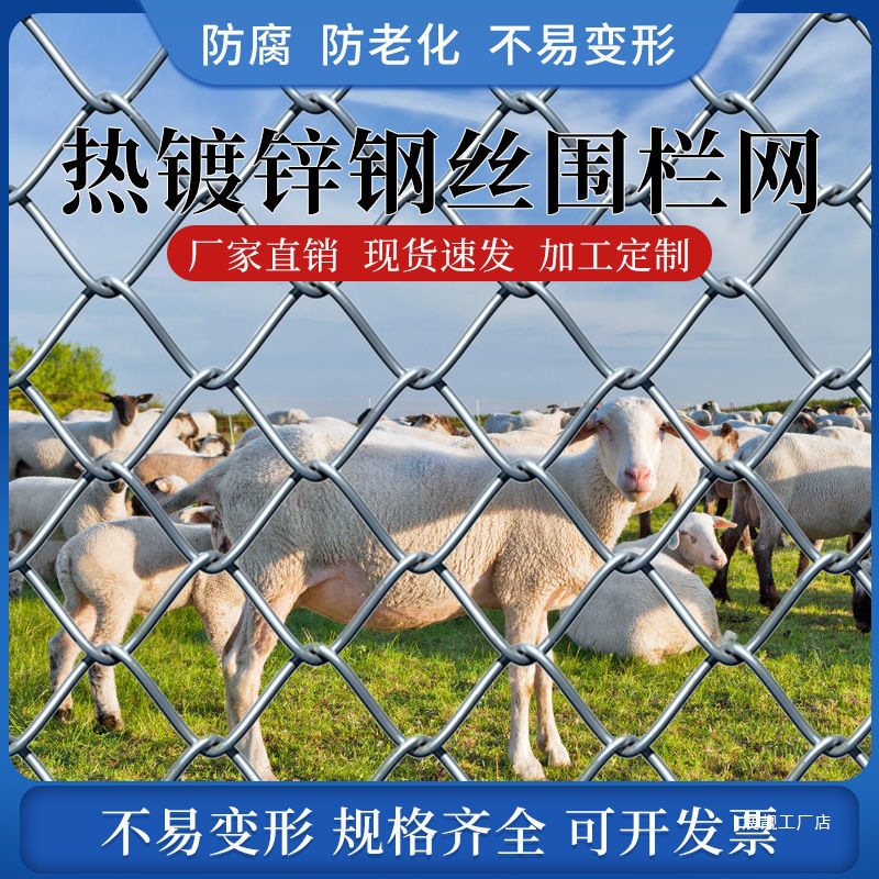热镀锌防锈铁丝网养殖围栏圈牛羊钢丝网果园户外隔离防护网勾花网