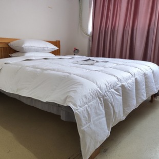 Factory direct supply Hotel homestay cotton goose down quilt core 80% white goose down Spring and Autumn quilt home textile wholesale and retail
