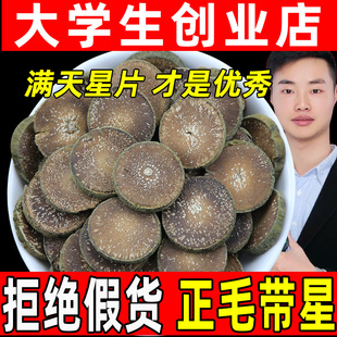 ���ڻ��ݻ��ټt�ټt��Ƭ��ˮ�ؼ���ë�t�ٻ��ټtƬ��ș���B������