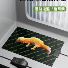 �،m�ӟ�|�ԄӐa�؎��ؿ��������x�ӟ������ľ�з�~�׽���