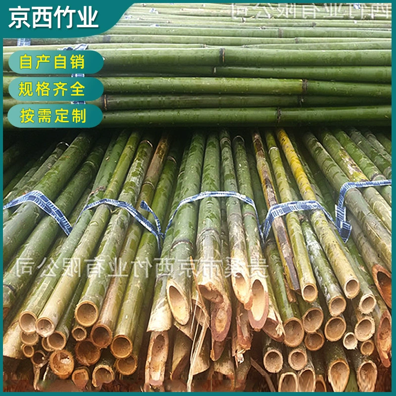 Поставка бамбуковых шестов оптовая продажа сельскохозяйственных бамбуковых шестов открытый флагшток забор огурец