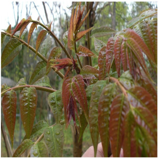 �t���㴻�䰫���㴻��������l �������㴻��G���㴻��F؛����