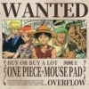 One Piece 48