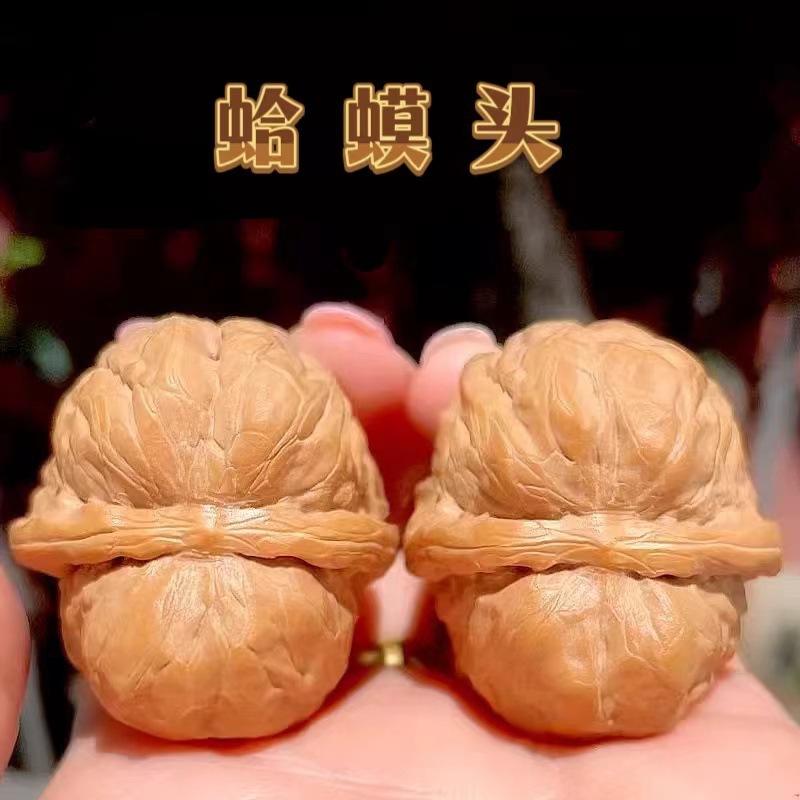 開背ヒキガエルの頭の文はクルミの低い杭を遊んで、先の古い木の延慶の金のヒキガエルの手は収集級の男女を遊んでクルミを遊びます。|undefined