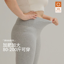 加肥加大码秋裤女士高腰纯棉胖mm200斤冬季无痕打底长裤保暖线裤