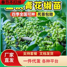 һlĴhԴٽ໨o̻Gtʳ