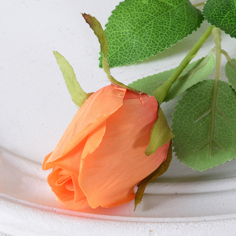 Orange (Rose Bud)