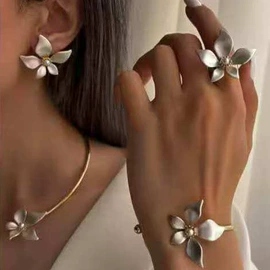 耳环;项链;耳钉