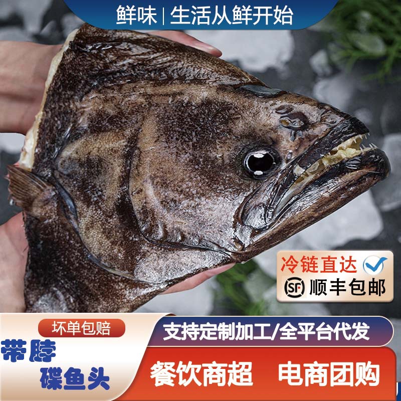 鸦片鱼碟鱼头新鲜冷冻超大整条切深海比目鱼雅片鱼头蝶鱼商用优选