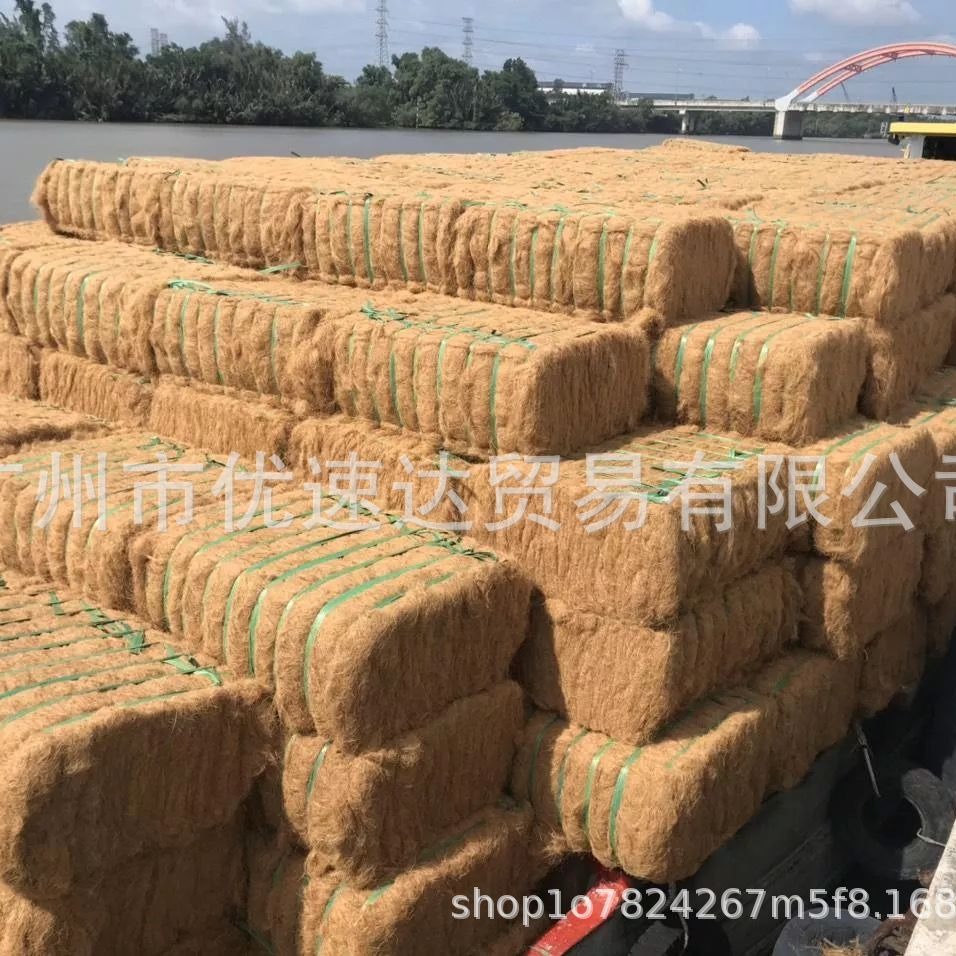 2024-07-22 10:59:43.jpg