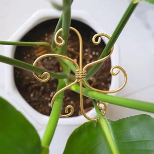 Cross-Border Plant Pole Support Frame, Iron Plant Support Flower Arrangement Device, Lotus Wire Green Plant Climbing Frame, Anti-Falling Bracket