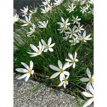 �[�m�����L���m�N����m���ԑ����޸������ͺ�ͥԺ���ܾG�����̓�