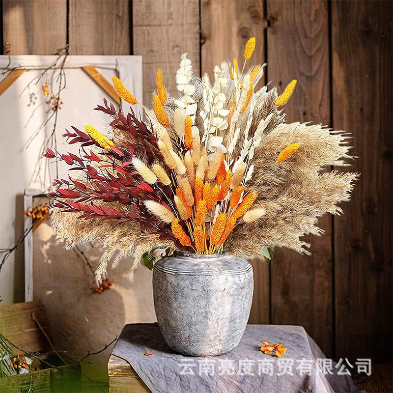 Pampas naturales ramo de flores secas cola de conejo hierba pequeña Reed polvo Reed madera estilo bohemio decoración del hogar