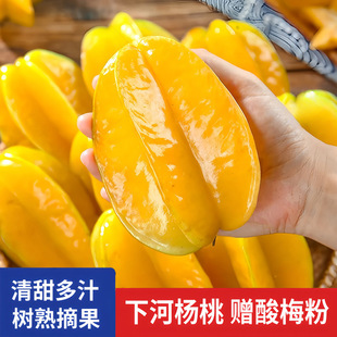 �������ݗ���5��ˮ���������������r�����r�t���P����������