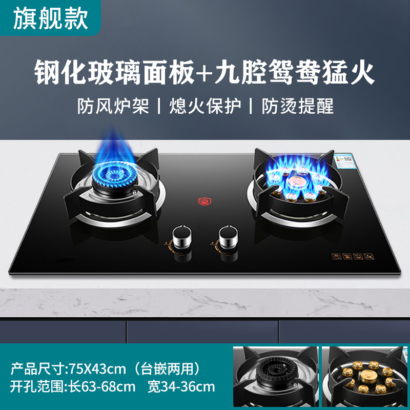 Venta al por mayor buena esposa estufa de gas estufa doble estación de gas natural doméstico gas licuado integrado estufa de gas estufa de fuego
