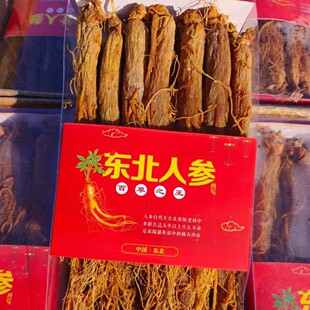 ���˅�ȫ횟o�Ǽt���tȫ��˅���֧���l���ۃ���500��/���B������