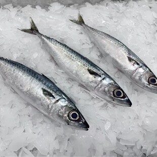 ��徱��r���~���s�~���~�����~�����~���^�~�tĿ�����~ÿ���r��
