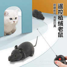 宠物猫玩具新款植绒电动遥控套装仿真老鼠激发兴趣猫咪益智玩具