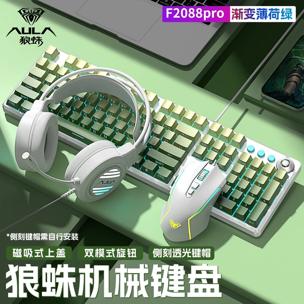 Green Axis [One Year Warranty] - [Mint Green] Gradient Side Engraving - Three Piece Set - Free Large Table Mat