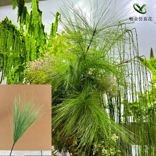 ���l��cɭϵ���Ĳ廨�b�·������������Gֲ�Gɫ�~�ӾGɫ�Rβ��