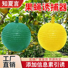 �羳ճ�x���Tω���С��ωճω��Ϲ���ω��ω���Nᘷ��T�������@