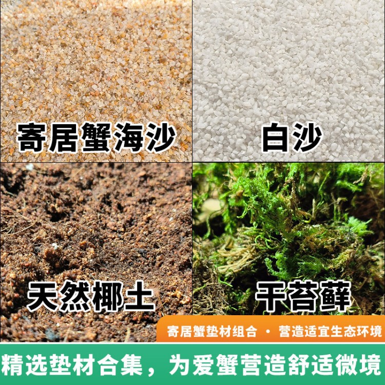 Special Sea Sand for Hermit Crabs, Chili Crab Supplies, Coconut Soil Substrate, Feeding Package, No-Wash Aquarium Landscaping Bottom Sand Special Sea Sand for Hermit Crabs, Chili Crab Supplies, Coconut Soil Substrate, Feeding Package, No-Wash Aquarium Landscaping Bottom Sand