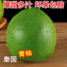 ̩���������r�M�ڰ�������2�����ЋDˮ�������֭���ӑ���4������