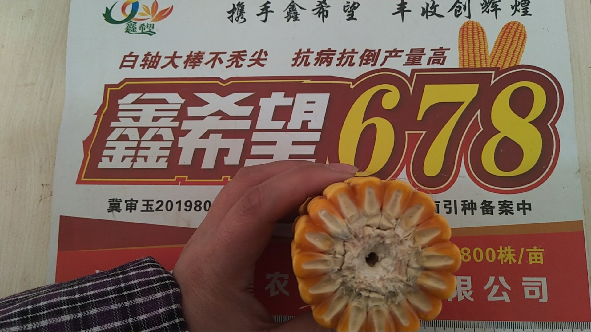 微信图片_20210402103329