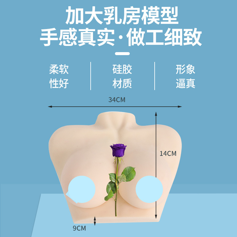 ������ɩ�������Ů���鷿����ʦ��ѵ���߲���轺�鷿�̾�ģ��