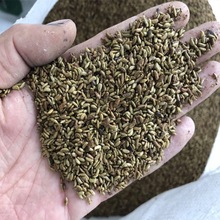 ɢb̻NӰ׻̻㻨뻱۷ۻNo