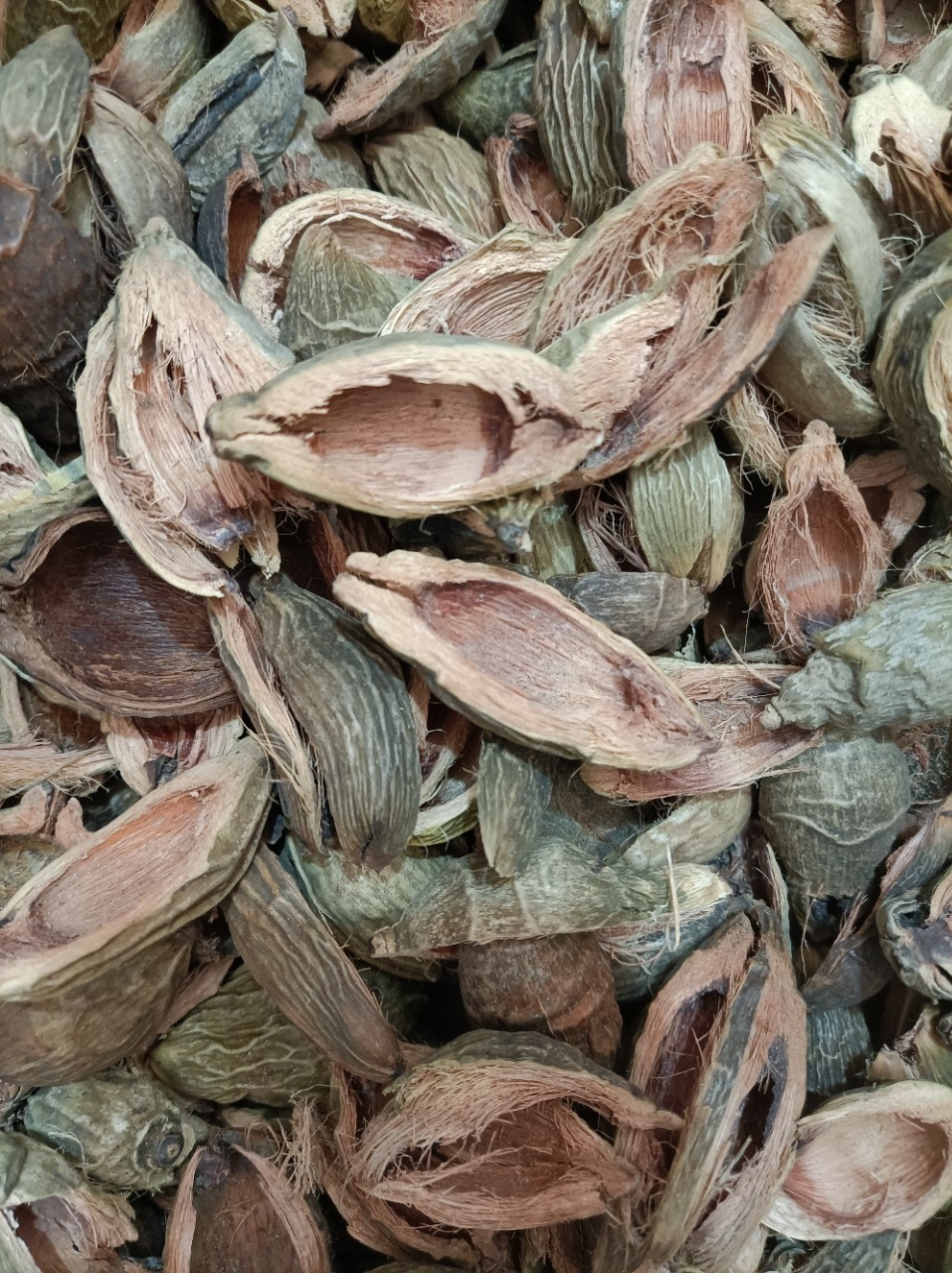 Da Fu Pi (Areca catechu Pericarp) — Dried Food Herb for Tea & Soup quality and texture