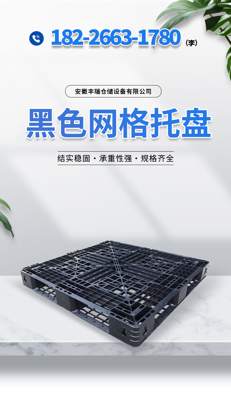 微信图片_20241011222651