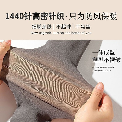 Air Hostess Grey One-Piece Sheer Leggings with Fleece for Women - Autumn/Winter Thick Warm Black Stockings Fake Meat Leggings