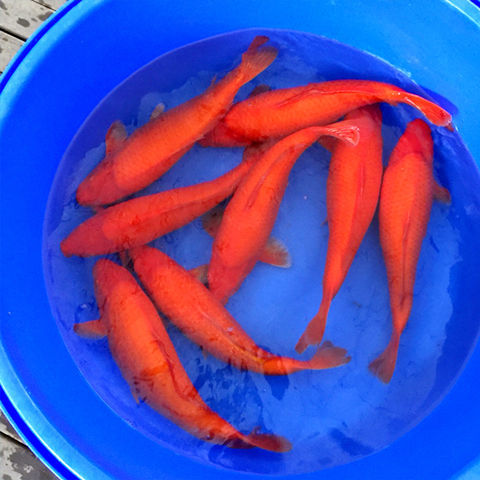 773c53687852e30c6b3b8c5fb2a595