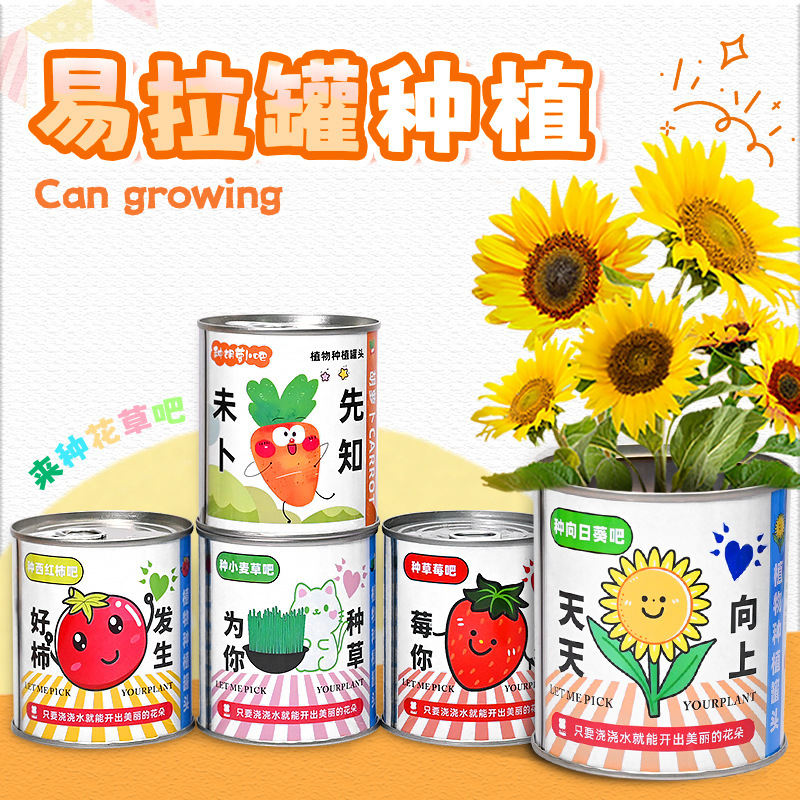 新年伴手礼迷你小盆栽小学生diy种植罐头室内绿植桌面小绿植批发