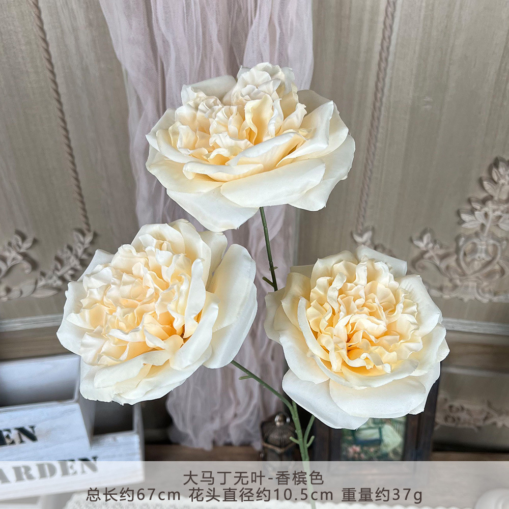 ZYJ2-大马丁无叶-香槟色