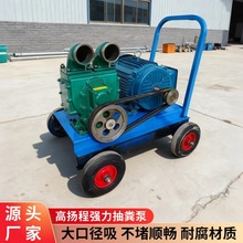 跨境粪污抽粪泵养殖场鸡粪猪粪吸粪泵现货无堵塞下水道污水吸污泵