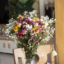 ^СõݾWtɻWLb[OdiyYɻu