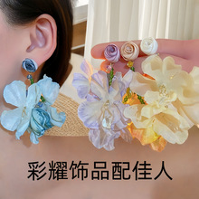 2025�¿�ȼ��L�ֹ�õ�廨����h���u����F�������С���OӋ��