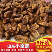 新桑蚕蛹干茧蛹干 级原味高蛋白蚕蛹纯干蚕蛹粉