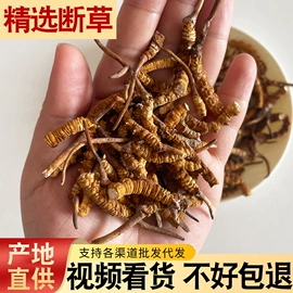 冬虫夏草;其他药食同源