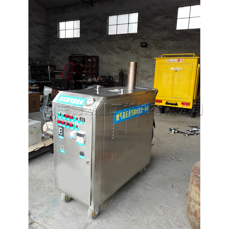 德欧牌蒸汽洗车机 20KG压力汽车清洗机 货车面包车污渍清理机