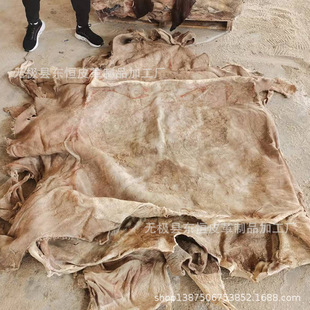 ţƤ�S�� �}��ţƤ �SţƤ�}�� ��ţƤ ��ţƤ�� ���z ����a