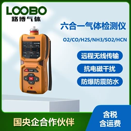 其他气体分析;其他仪器仪表;水质分析仪