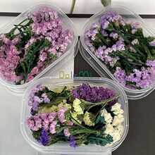 勿忘我永生花DIY盒装云南直发立体拍照摆件迷你版便宜植物超小号