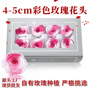 Eternal Flower Rose Heads 4-5cm 8 Pieces A-Grade DIY Floral Material Gift Box Valentine's Day Wholesale Bouquet Gradient Roses